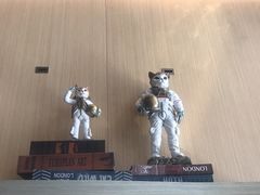-飞行喵MR PILOT|猫舍·猫咖(静安大融城店)