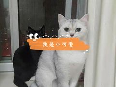 -达爱动物医院·犬猫分区·CT·复杂眼科(远洋山水分院)