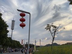 -光明小镇欢乐田园