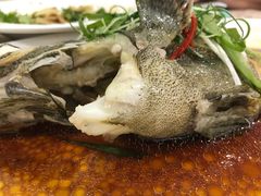 -新兴家喻酒家·羊城名宴(昌岗店)