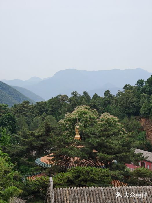 潭柘寺景区图片