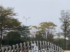 -海心沙亚运公园