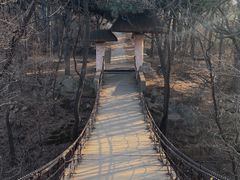 -望溪公园