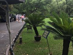 -申粤轩酒楼·三十年粤菜经典(丁香花园店)