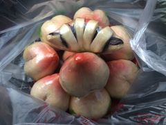 -祥禾饽饽铺·中式糕点(天津河东美福园店)