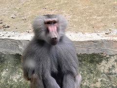 -福州动物园