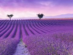 -黑皮酸菜鱼(绣花巷店)