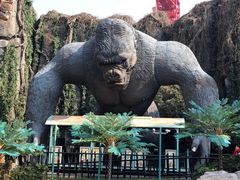 -常州奔牛国际机场