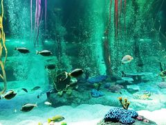 -沈阳海洋探索中心