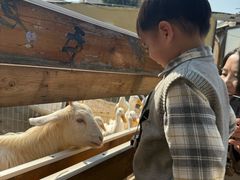 -HERRE·FARM 赫尔露营农场·团建聚会包场