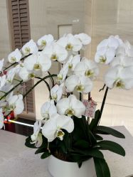 -深圳艺星医疗美容医院