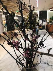 -LB·海菲秀牛奶光官方体验中心