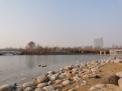 -大兴滨河森林公园