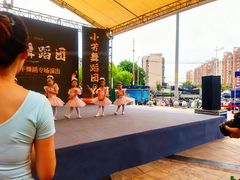 -小芳舞蹈团·少儿舞蹈·中国舞(龙江校区)