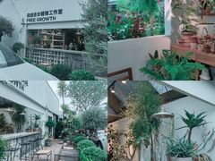 -自由生长植物工作室(深港花卉中心店)