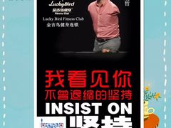 -金吉鸟健身游泳