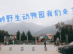 -西安秦岭野生动物园