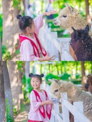 -优沃得自然教育农场·冰雪乐园·生日会·研学
