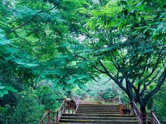 -丹东凤凰山景区