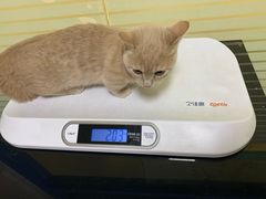 -派特宠物医院(圆融广场店)