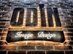 -ODIN 奥丁形象设计 