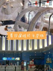 -Mr·Kuma酷么先生雪之乐园