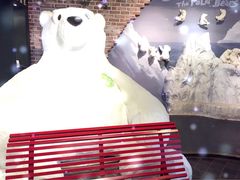 泰迪熊博物馆-济州岛泰迪熊博物馆