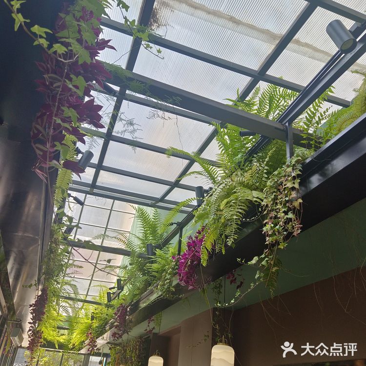 活力满满用餐地