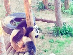 -大连森林动物园