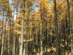 -驼梁风景区