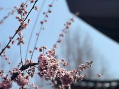-堤角公园