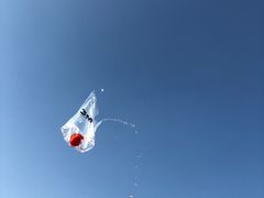 -方腻·3平方柠檬茶