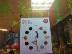 -爱尔乐美孕产瑜伽·普拉提