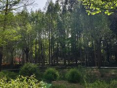 -郑州植物园