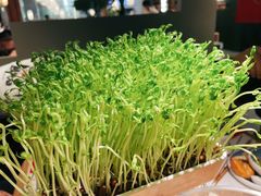 -左庭右院鲜牛肉火锅(苏州园区永旺店)