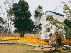 -铁山坪森林公园