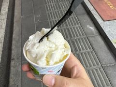 -Papa Gelato 纯手工冰淇淋