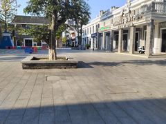 -洋湖国家湿地公园