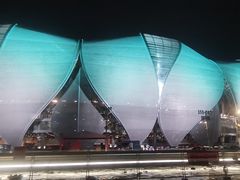 -杭州奥体中心-体育场