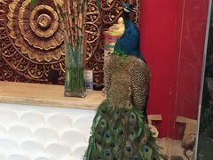 -兰纳泰式spa(古城店)