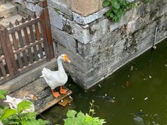 -苏州碑刻博物馆