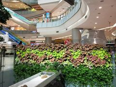 -凯德广场(学府店)