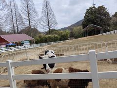 -白马涧龙池景区