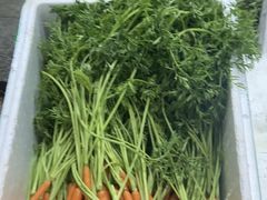 -岳各庄批发市场(西四环中路店)