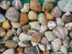 android_upload_pic-浪琴湾尾角仔海鲜坊