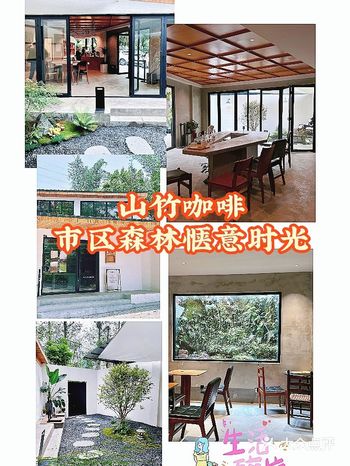 红雀碗街山竹咖啡,市区森林惬意时光