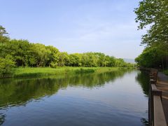 -西溪国家湿地公园