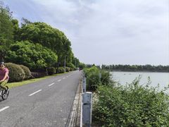 -贡湖湾湿地公园