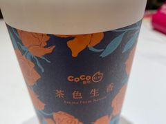 -CoCo都可(上海环球港店)