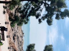 -八大关景区